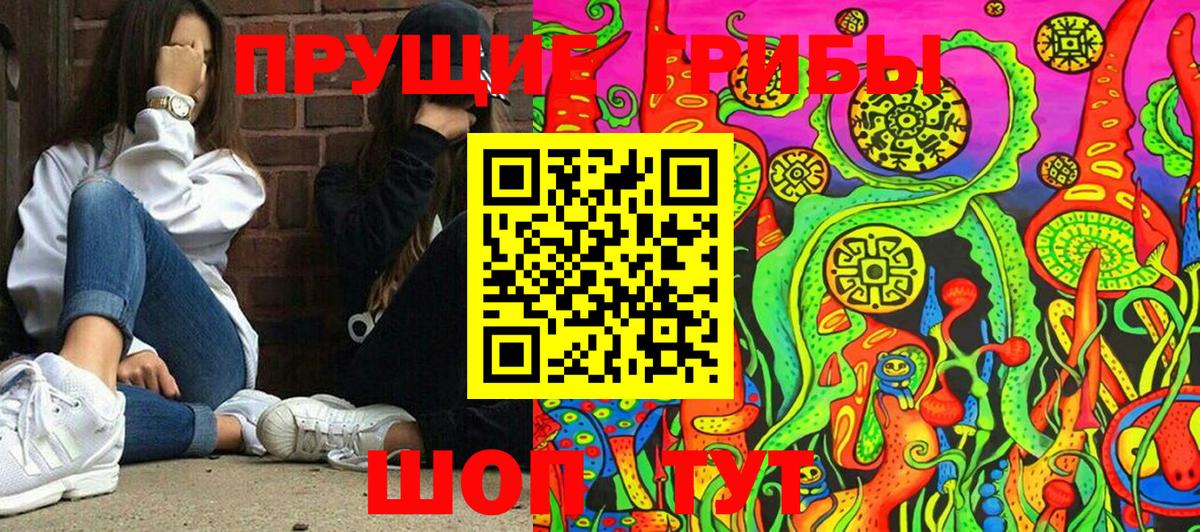 Псилоцибиновые грибы Psilocybe Ростов Великий